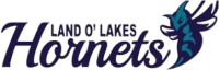 Logo for Land O' Lakes Hornets, featuring stylized dark text and a blue hornet mascot with wings poised for flight on the right side.