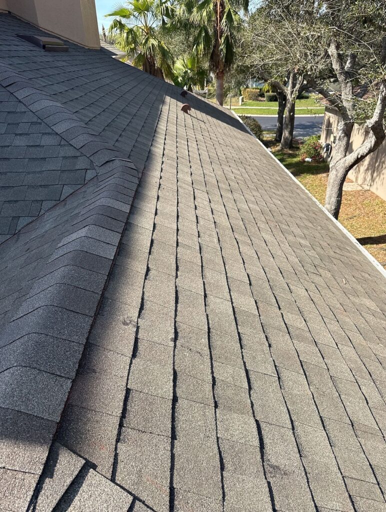 A sloped residential roof with gray asphalt shingles, some of which appear uneven or lifting. Palm trees and a street are visible in the background under a clear sky.