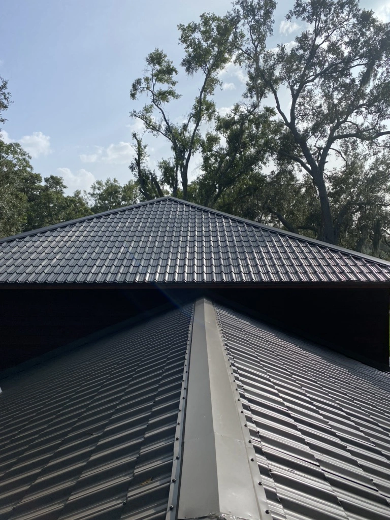View of a metal roof with sunlight reflecting off its panels, set against a backdrop of tall trees and a clear blue sky.