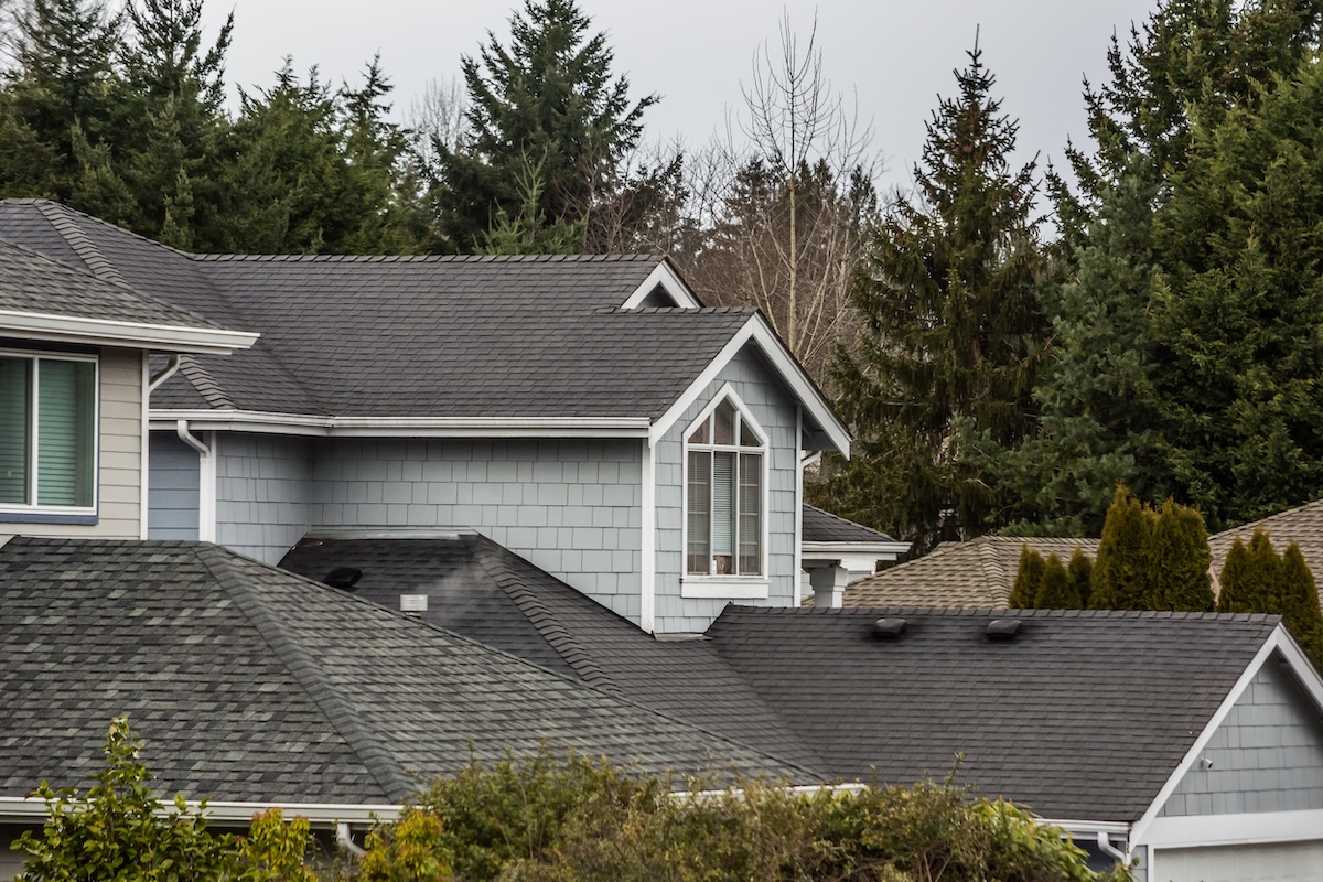 A close-up view of the gray rooftops and upper story windows of suburban houses, showcasing quality roofing St Petersburg style, surrounded by tall evergreen trees on a cloudy day.